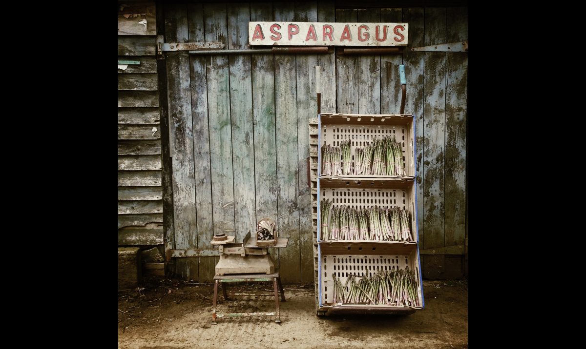 IPPA 2016: le migliori foto scattate con iPhone IPPA 2016: le migliori foto scattate con iPhone