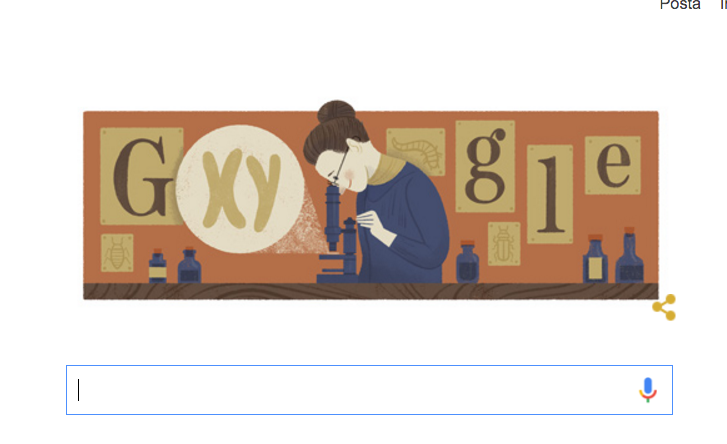 Un doodle per Nettie Stevens, la donna dei cromosomi Un doodle per Nettie Stevens, la donna dei cromosomi