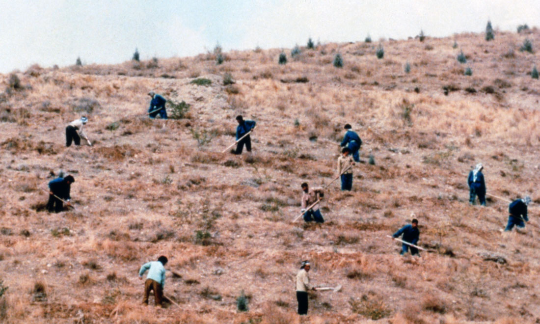 È morto Abbas Kiarostami, il regista iraniano de Il sapore della ciliegia – Foto È morto Abbas Kiarostami, il regista iraniano de Il sapore della ciliegia – Foto