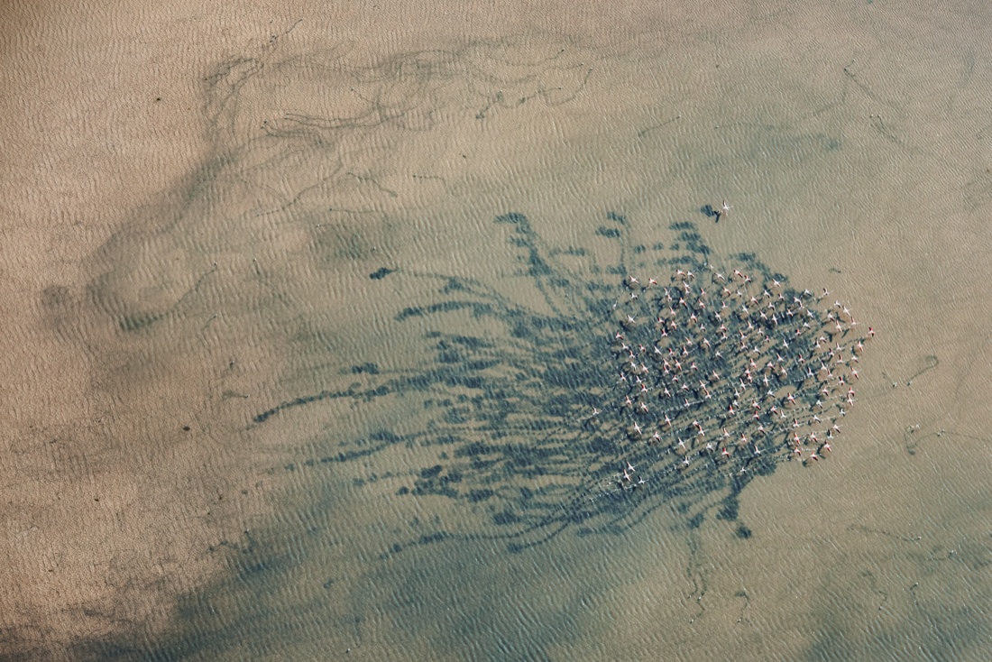 Barbara Dall’Angelo: The Poetry of Earth