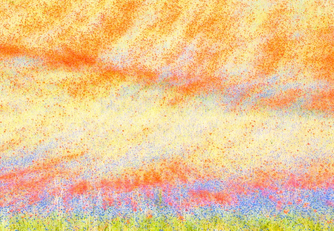 Barbara Dall’Angelo: The Poetry of Earth