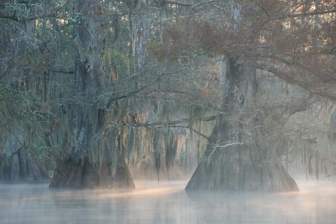 Barbara Dall’Angelo: The Poetry of Earth