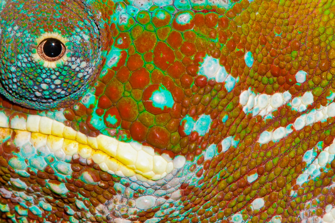 Barbara Dall’Angelo: The Poetry of Earth