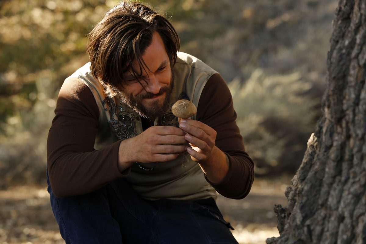 Galleria foto 'Aquarius torna con la seconda stagione' - foto 7