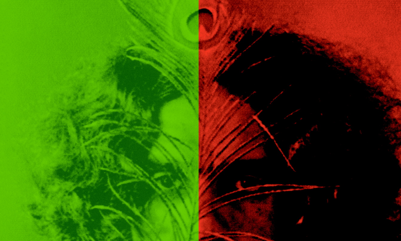 Igiaba Scego, Caetano Veloso