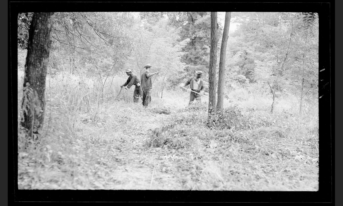 I Parchi nazionali USA nelle foto degli archivi storici