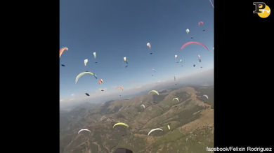 Cento vele in cielo alla gara di parapendio | video