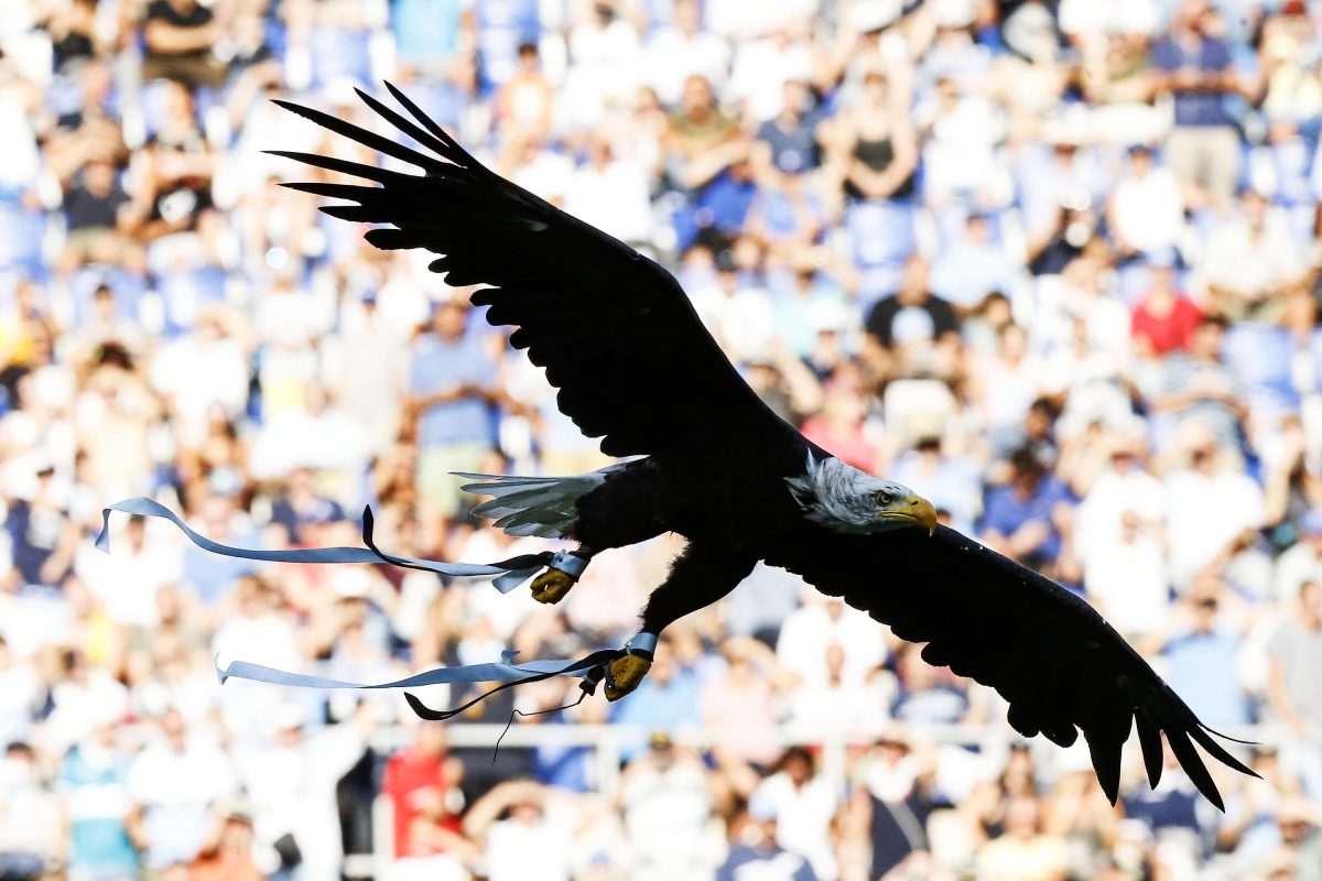 Campionato Serie A 2016-2017, 2a giornata: risultati e goal di tutte le partite Campionato Serie A 2016-2017, 2a giornata: risultati e goal di tutte le partite