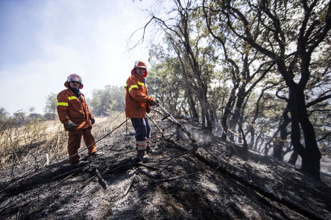 Roma, allarme incendi: 30 roghi devastano alcune zone della capitale e del Lazio