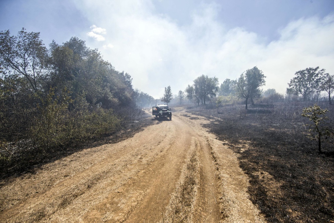 Roma, allarme incendi: 30 roghi devastano alcune zone della capitale e del Lazio