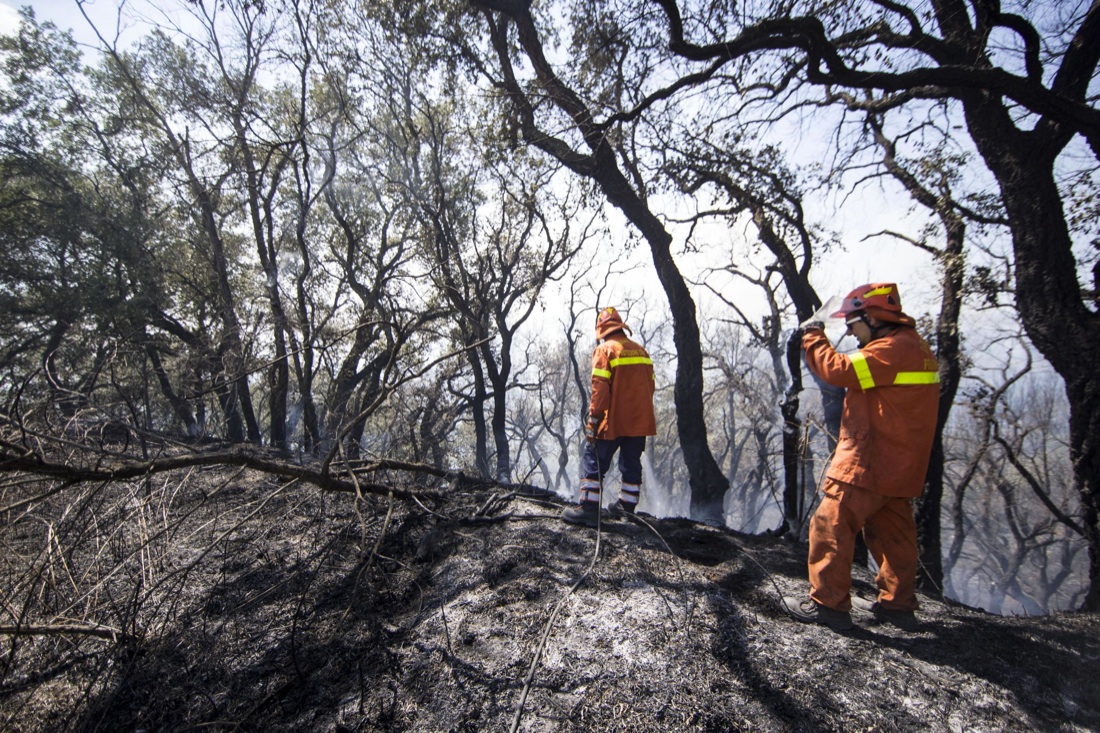 Roma, allarme incendi: 30 roghi devastano alcune zone della capitale e del Lazio