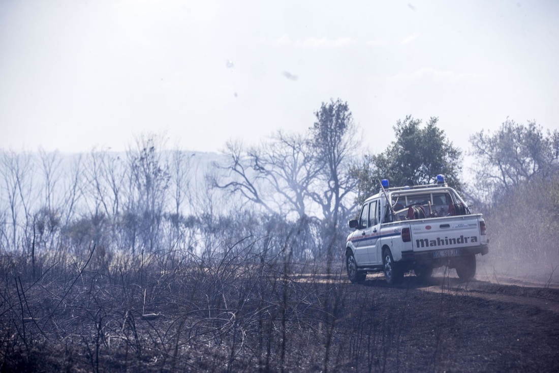 Roma, allarme incendi: 30 roghi devastano alcune zone della capitale e del Lazio