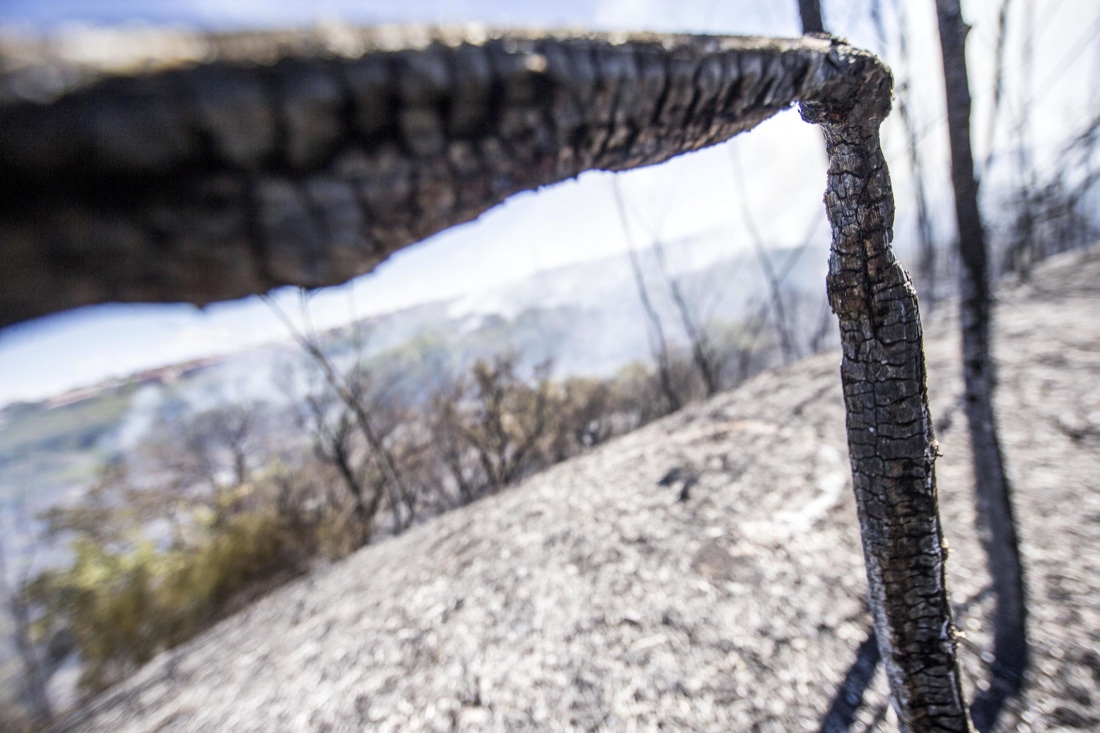 Roma, allarme incendi: 30 roghi devastano alcune zone della capitale e del Lazio