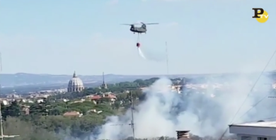 Incendi Roma: il Parco del Pineto in Fiamme