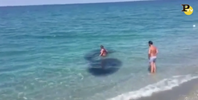 Amantea: un enorme branco di pesci tra i bagnanti – Video