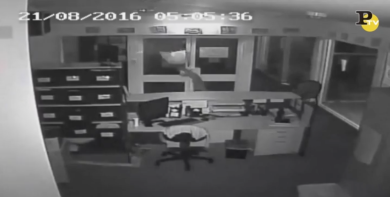 Australia: vandali lanciano coccodrilli in una scuola – Video