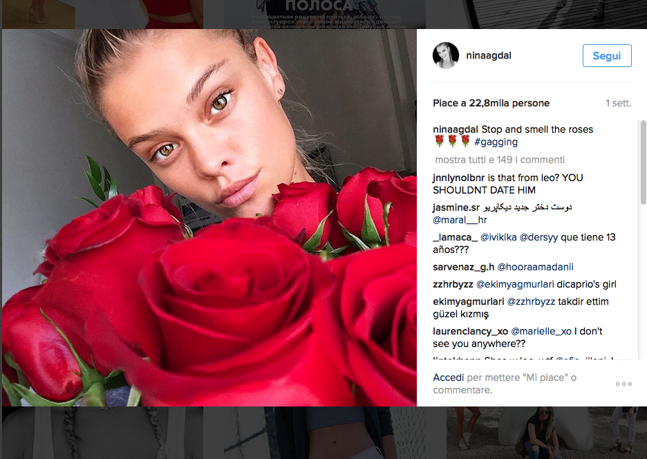 Incidente d’auto per Leo DiCaprio e Nina Agdal Incidente d’auto per Leo DiCaprio e Nina Agdal