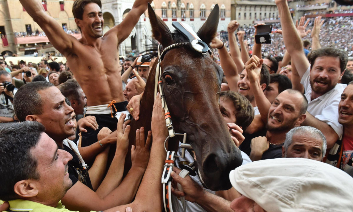 Le foto più belle della settimana – 13/19 agosto