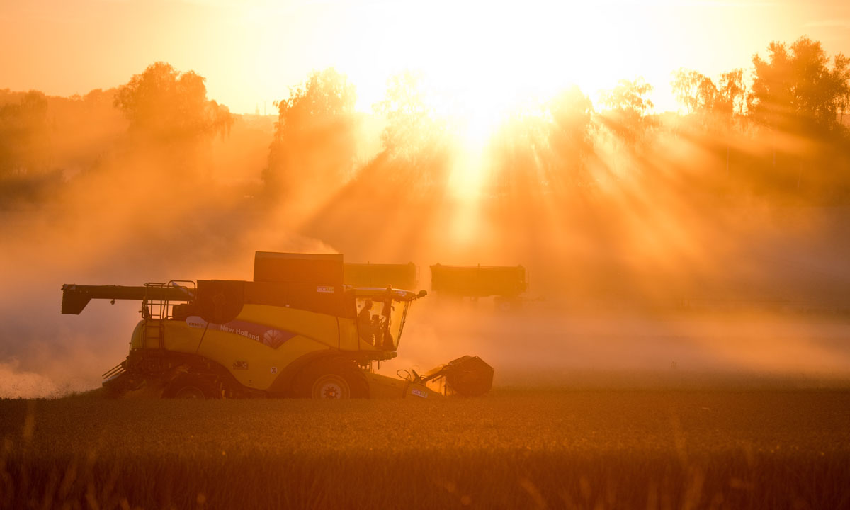 Le foto più belle della settimana – 13/19 agosto