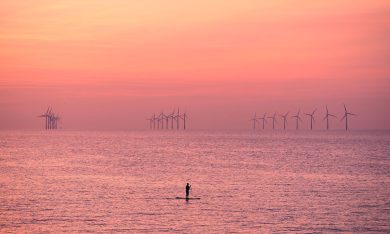 Le foto più belle della settimana – 13/19 agosto