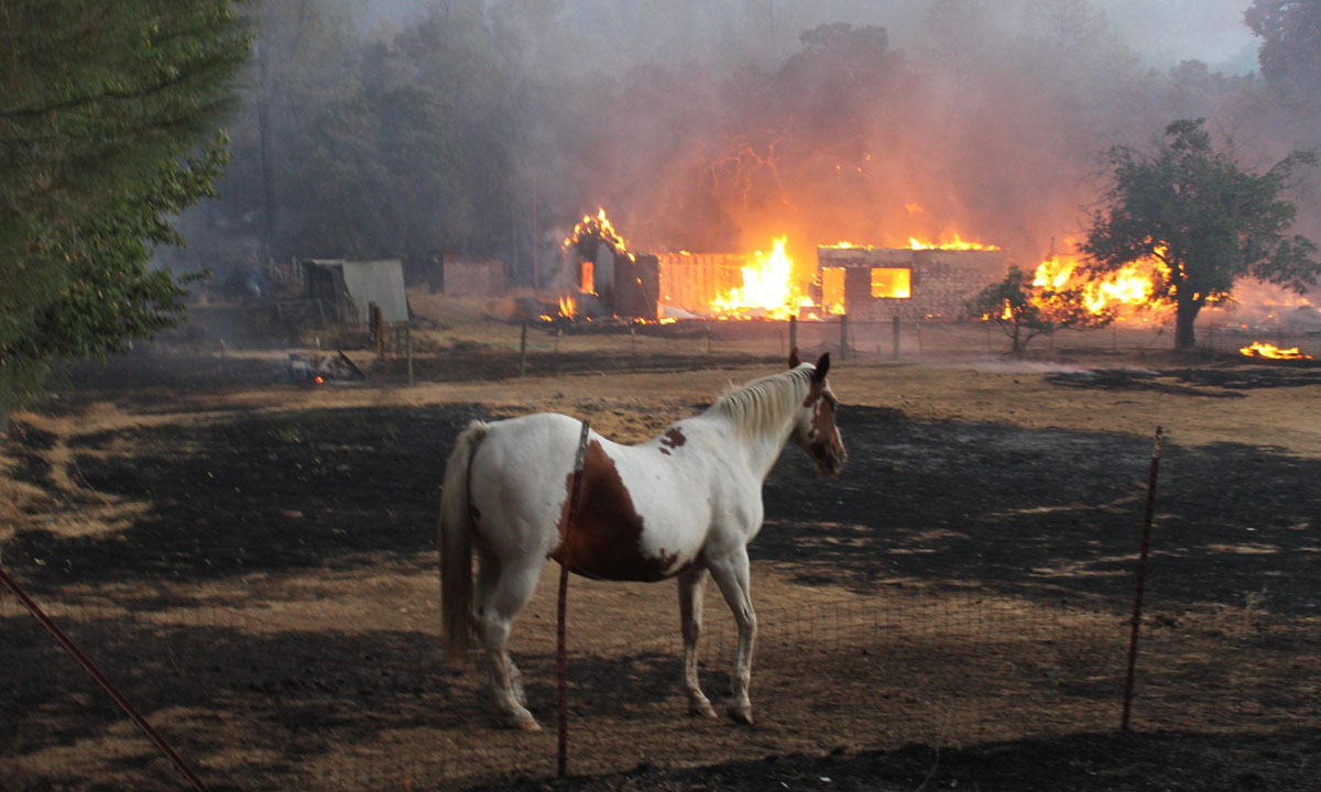 Grandi incendi in California, San Bernardino devastata – Foto