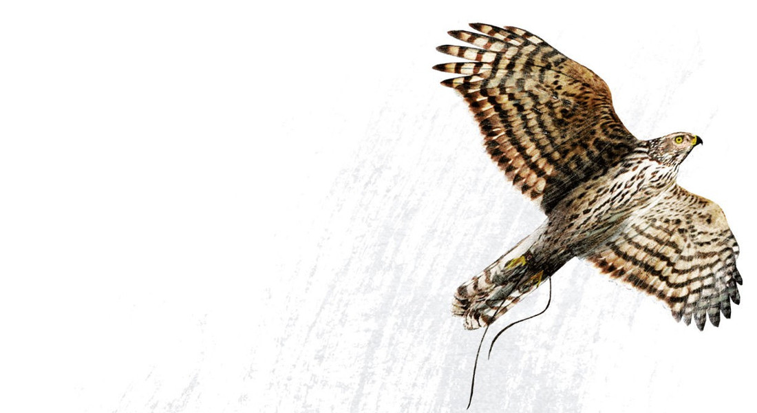 I 5 libri estivi di Barack Obama I 5 libri estivi di Barack Obama