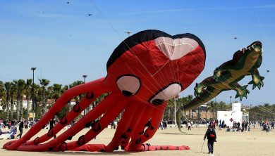 Italian contribution to BioRobotics