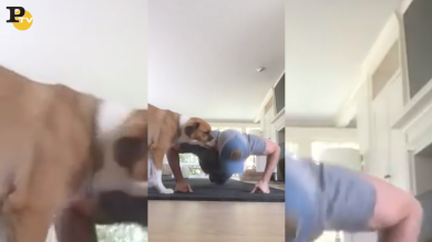 22 push up challenge, Chris Evans | video