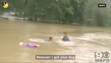 Louisiana: donna ed il suo cane salavate dall’alluvione | video