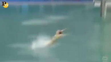 Tuffi: la “schienata” della Bazhina a Rio 2016 | video