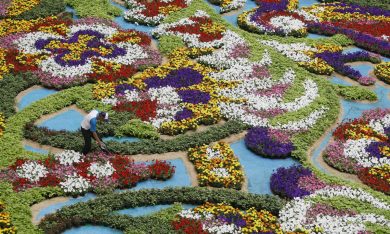 Le foto più belle della settimana – 6/12 agosto