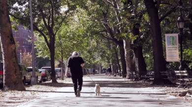 Italia “regina” delle vacanze pet-friendly