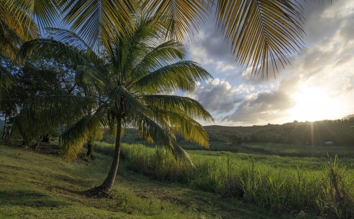 Le mete delle vacanze più desiderate dagli italiani Le mete delle vacanze più desiderate dagli italiani