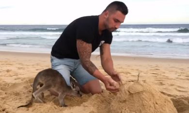 Hey, guarda: ho un canguro come amico!