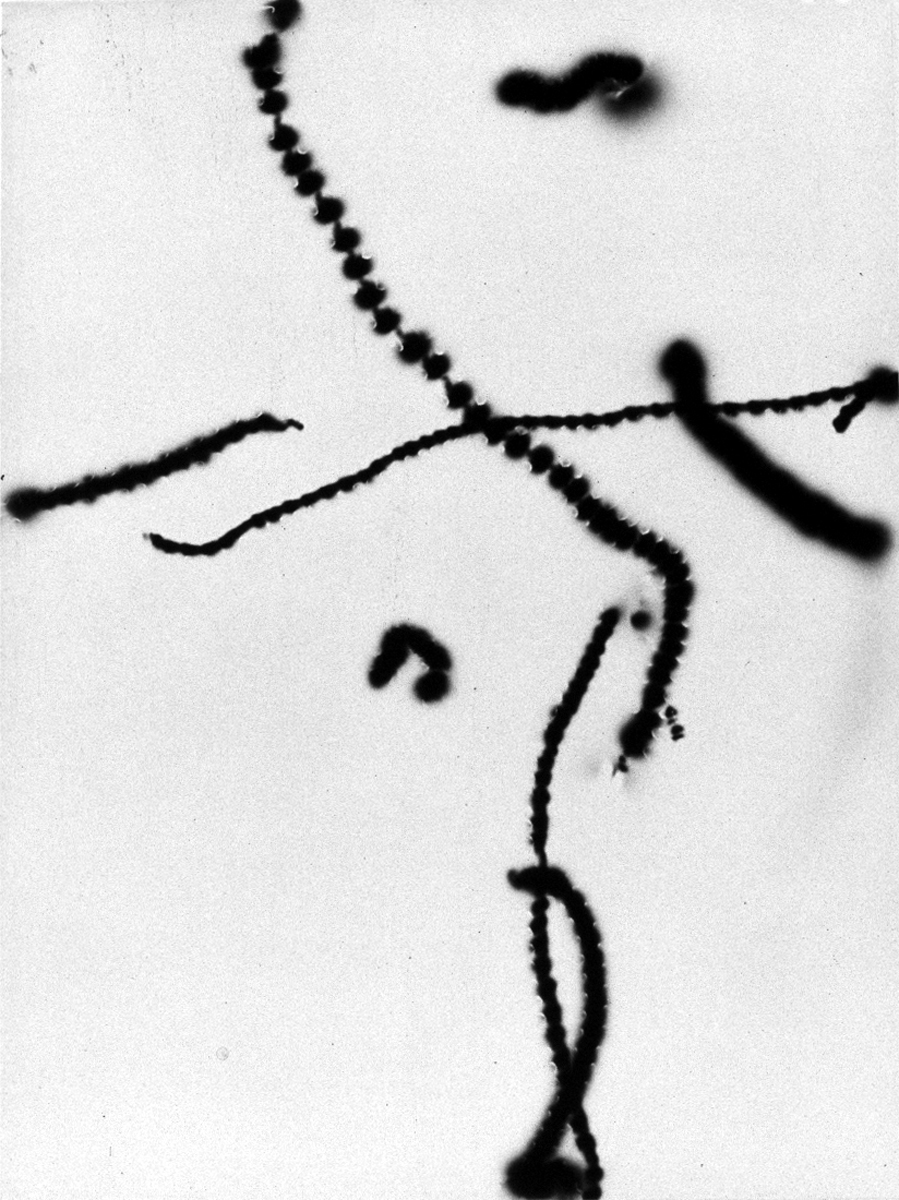 “L’altro sguardo”: fotografia al femminile in mostra a Milano