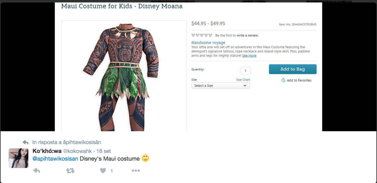 Galleria foto 'Disney, è polemica per il costume da Halloween di Maui' - foto 9