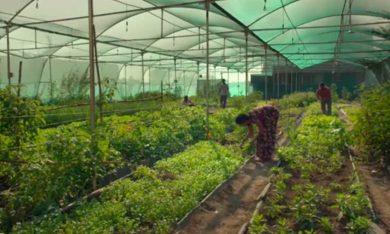 Domani, il doc ambientalista di Cyril Dion e Mélanie Laurent