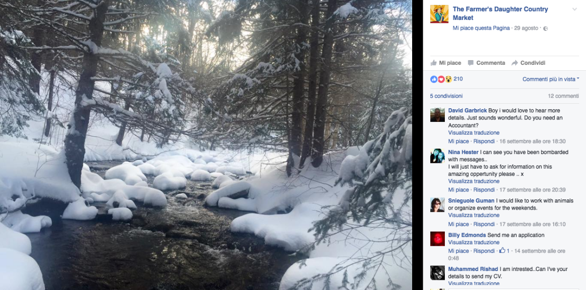 Galleria foto 'Cape Breton, l’isola che cerca abitanti e regala terreni' - foto 7