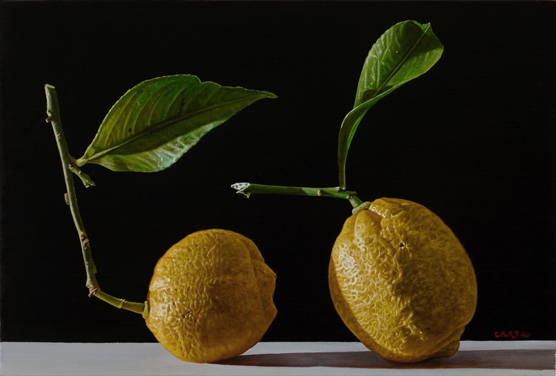 Giuseppe Carta: i diari della terra Giuseppe Carta: i diari della terra