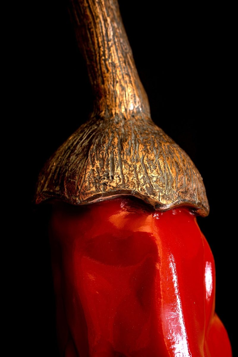 Giuseppe Carta: i diari della terra Giuseppe Carta: i diari della terra