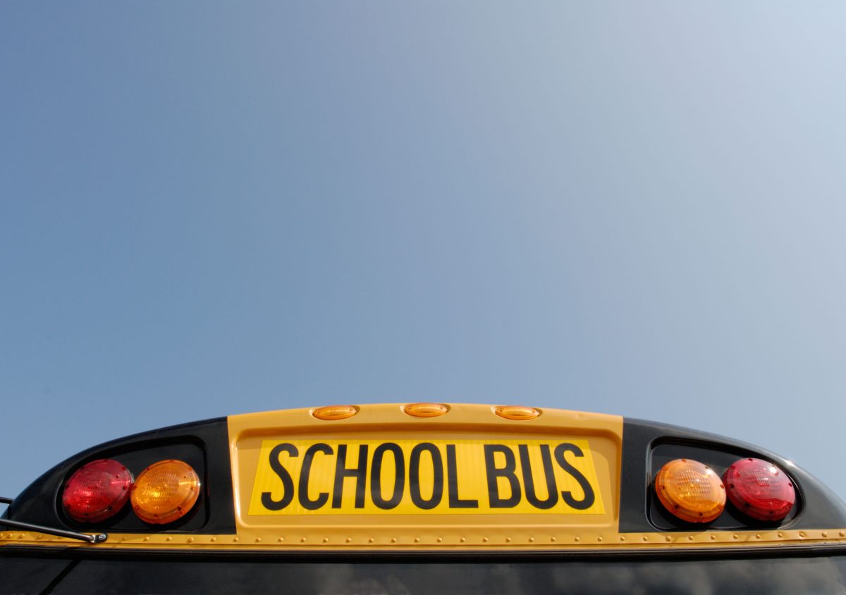 Galleria foto 'Scuola, qual è il ricordo più bello?' - foto 8