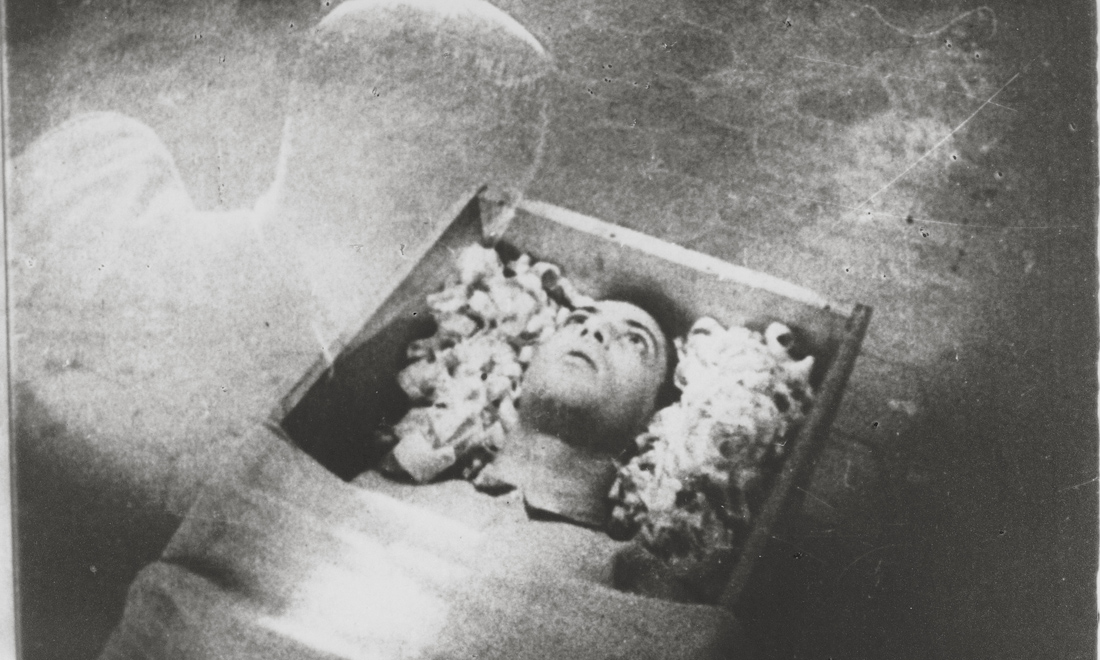 Vampiri al cinema, i 10 film più belli di sempre