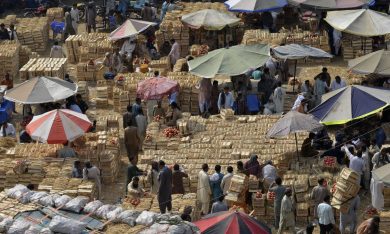 Le foto più belle della settimana – 22/28 ottobre