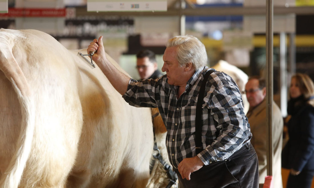 In guerra per amore e gli altri film in uscita al cinema, 27 ottobre 2016 In guerra per amore e gli altri film in uscita al cinema, 27 ottobre 2016