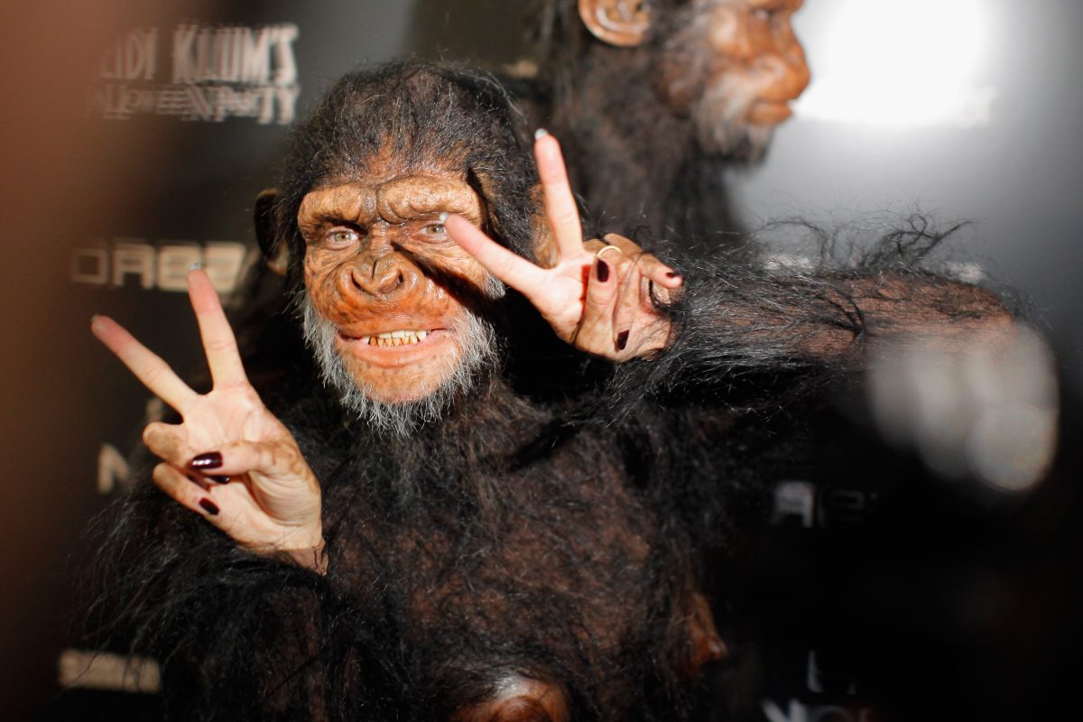 Galleria foto 'Halloween, è quello di Heidi Klum il party più atteso' - foto 10