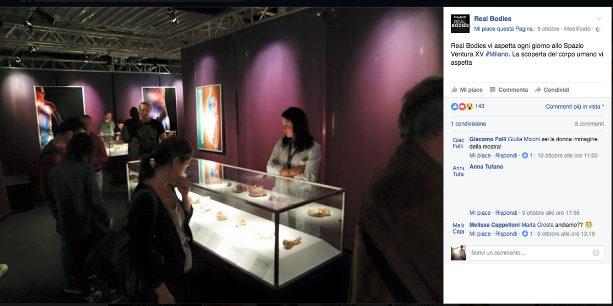 Galleria foto 'Real bodies, ancora malori alla mostra verità sul corpo umano' - foto 2