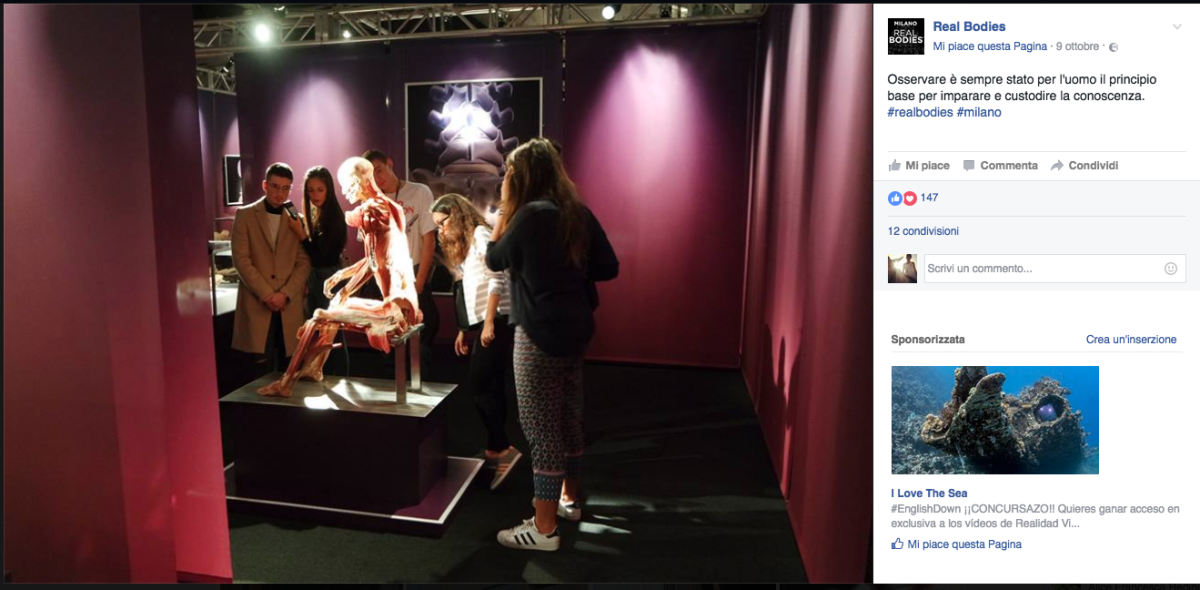 Galleria foto 'Real bodies, ancora malori alla mostra verità sul corpo umano' - foto 4