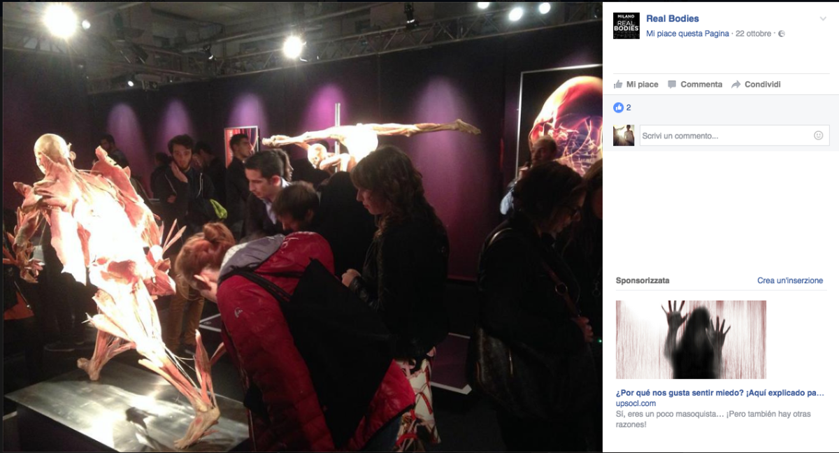 Galleria foto 'Real bodies, ancora malori alla mostra verità sul corpo umano' - foto 5