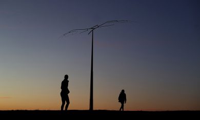 Sculture in riva al mare a Sydney – Foto