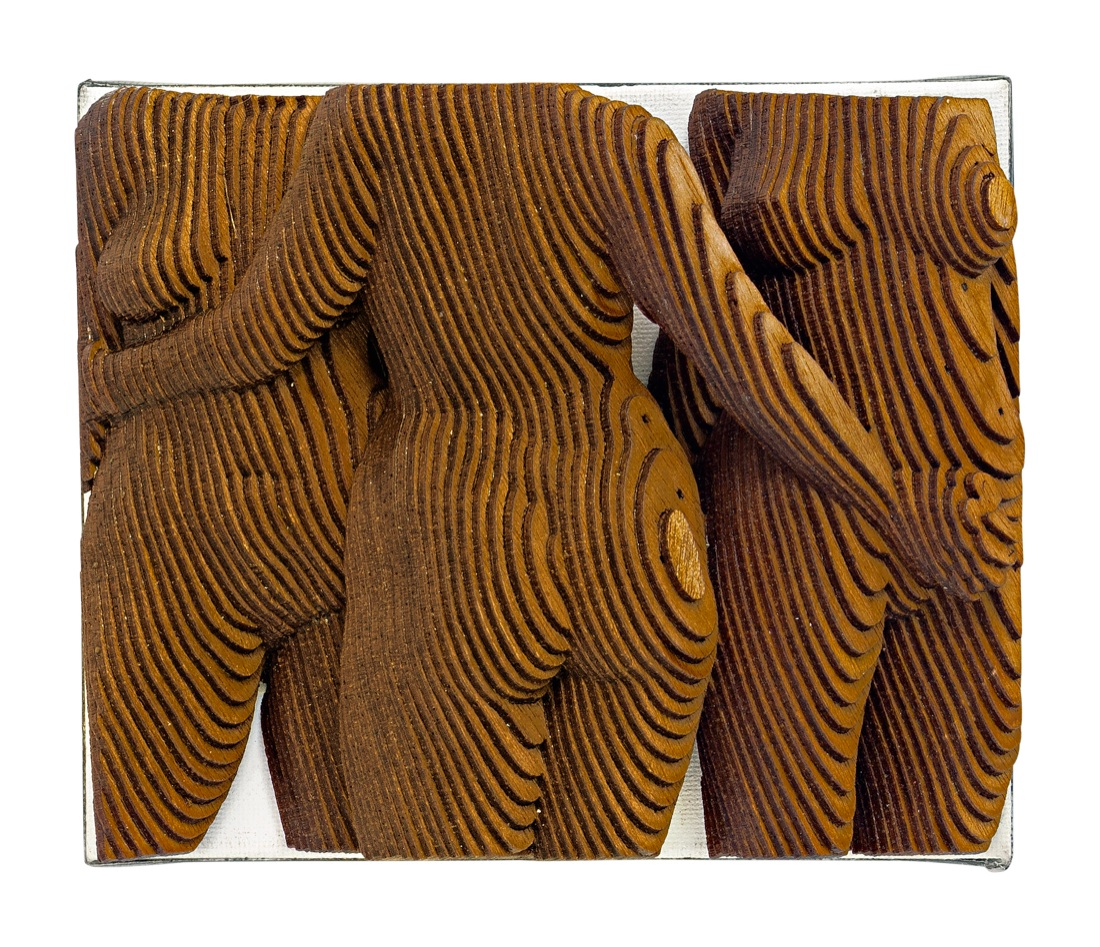 Kiwi Consciousness: la Nuova Zelanda a Imago Mundi